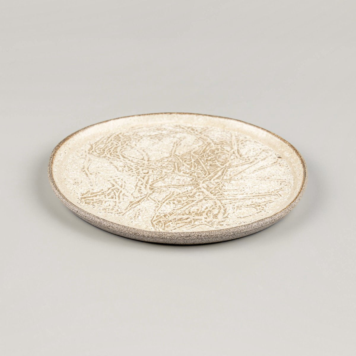 Modern rustic stoneware dinner plate with matte glaze and slightly raised edges.