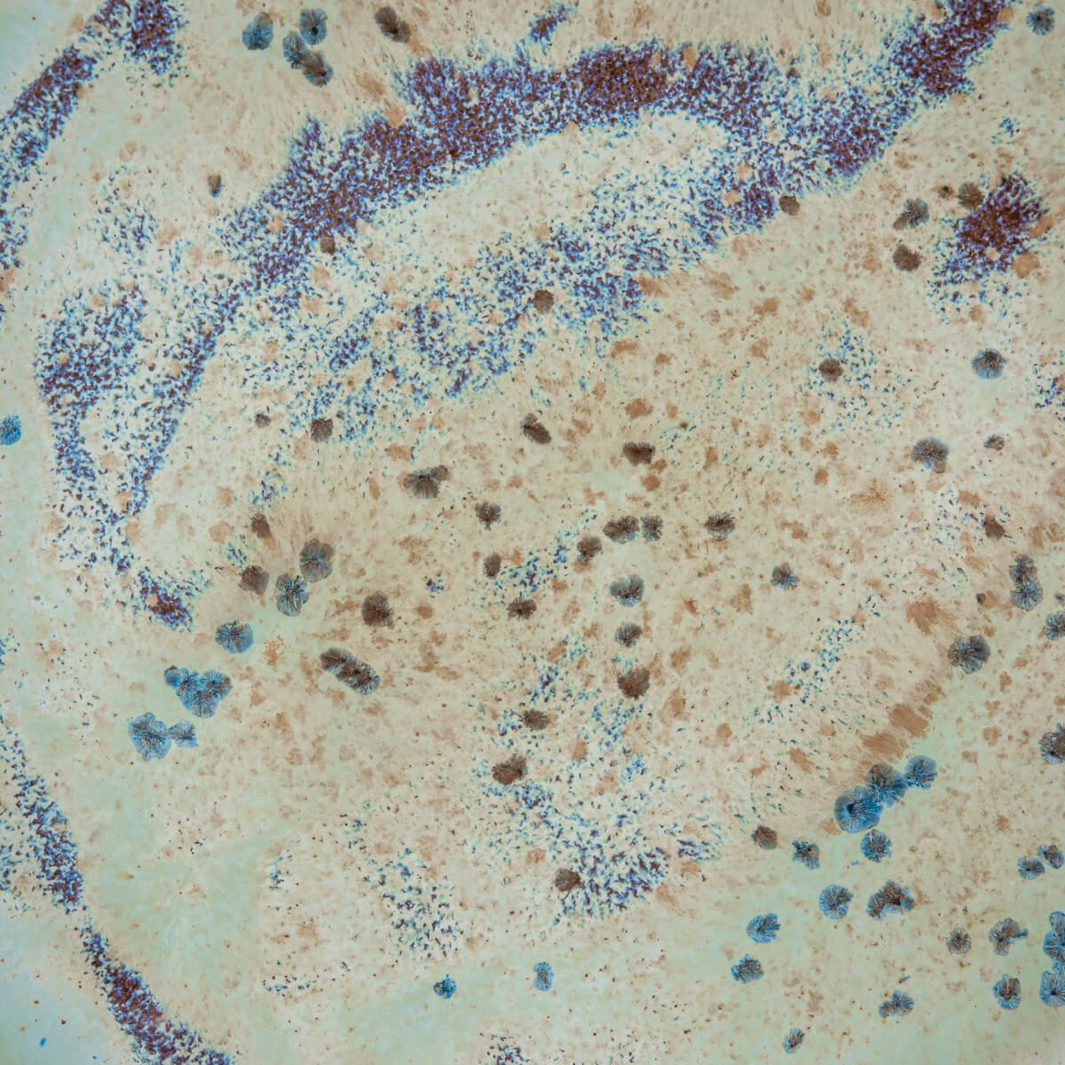 Abstract glaze pattern on artisan ceramic plate for modern table settings.