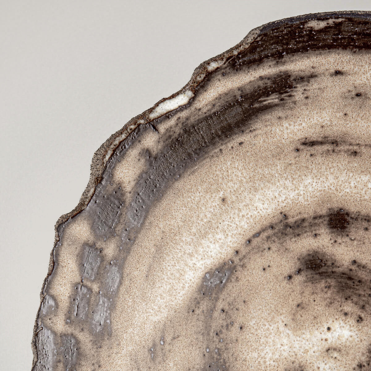 Angled rustic ceramic plate for fine dining or boutique home styling.