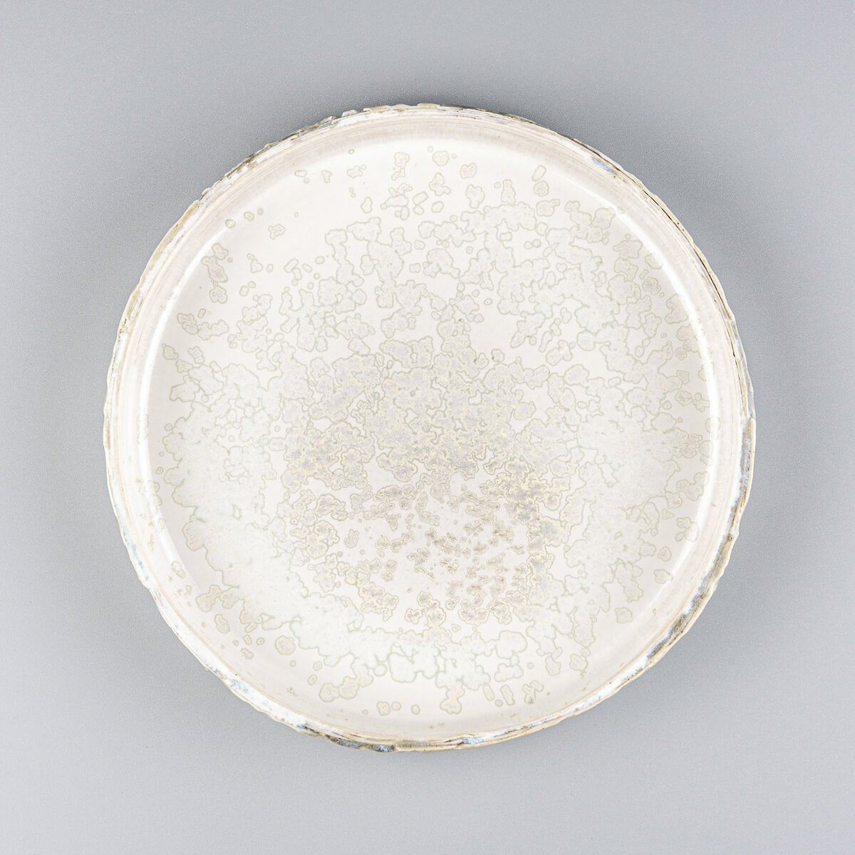Elegant, unique ceramic plate with carved edges and glossy gray glaze for fine dining presentation.