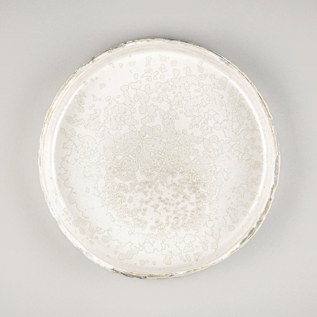 Elegant, unique ceramic plate with carved edges and glossy gray glaze for fine dining presentation.