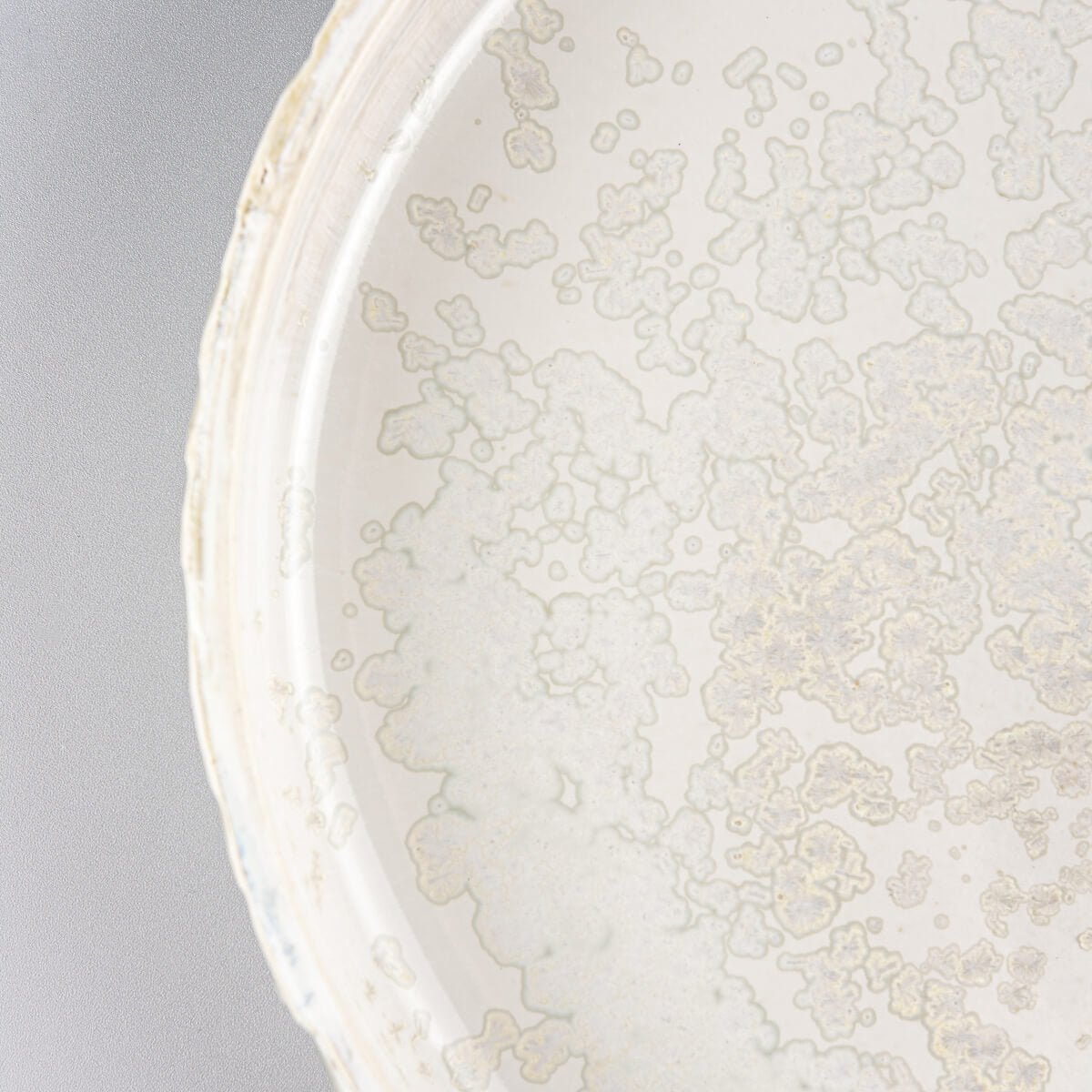 Interior view of artisan plate showing complementary soft gray glaze for luxury table settings.