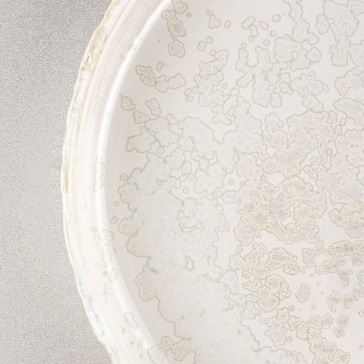 Interior view of artisan plate showing complementary soft gray glaze for luxury table settings.