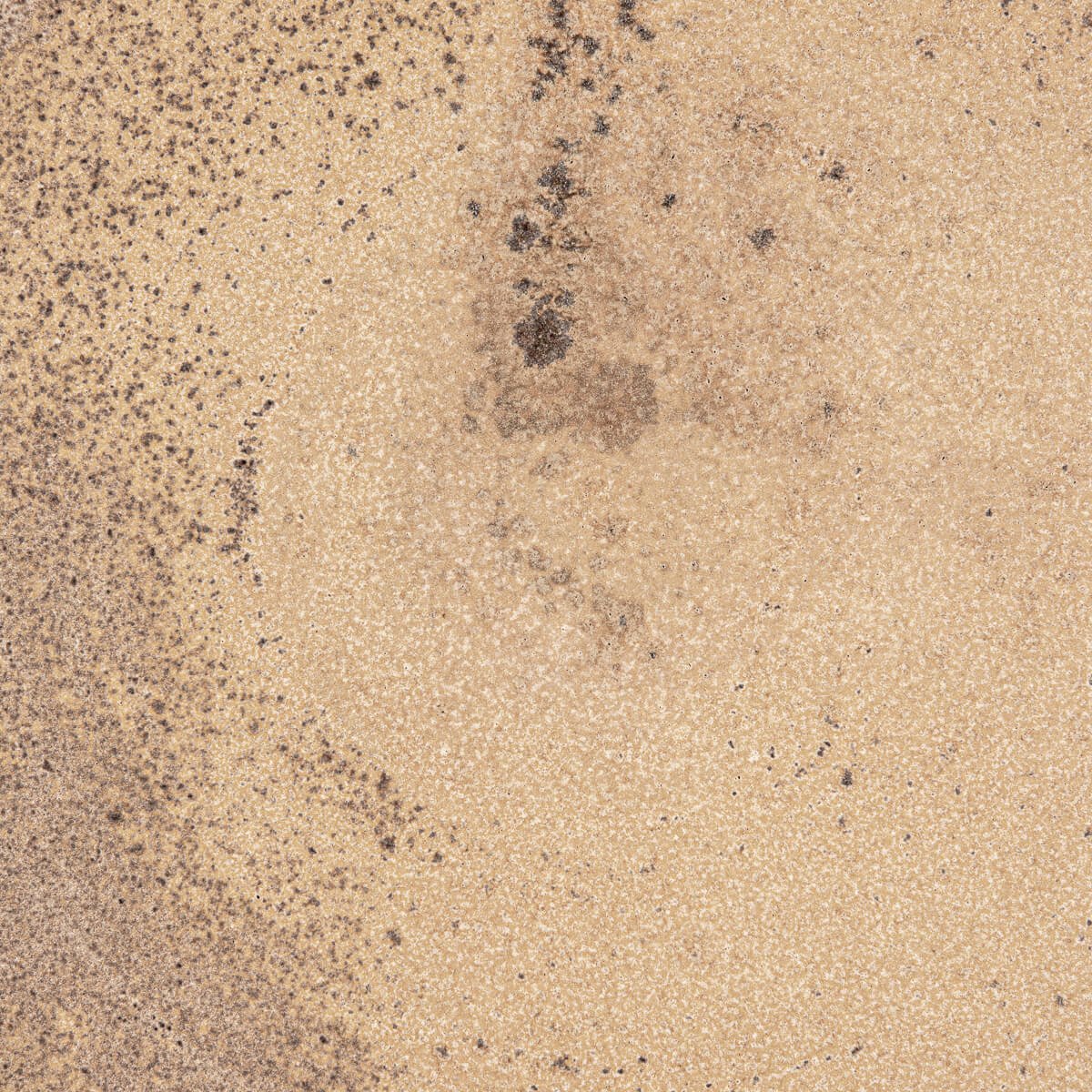 Stoneware plate detail with smooth glazed interior and natural clay outer surface.