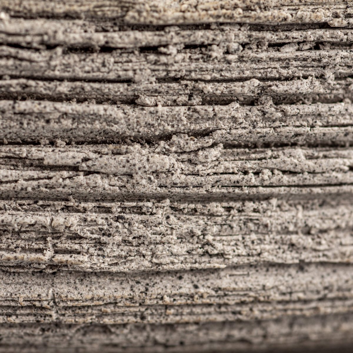 Fine dining stoneware plate with matte glaze and precision-crafted edges.