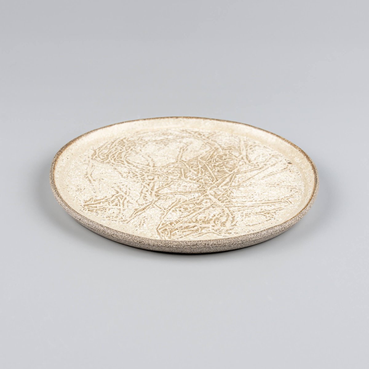 Modern rustic stoneware dinner plate with matte glaze and slightly raised edges.