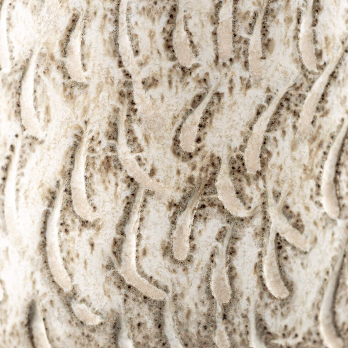 Detailed carving on a handmade ceramic espresso cup with rustic matte glaze finish.